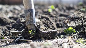 花園,後院 圖／Pixabay