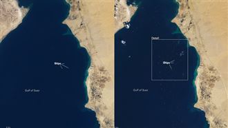 NASA衛星照曝　密麻白點擠爆運河