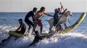 ▲（圖／翻攝自草根影響力新視野）