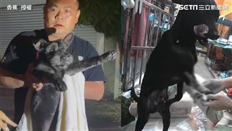 超暖！徐文良、香蕉1日救援4浪浪