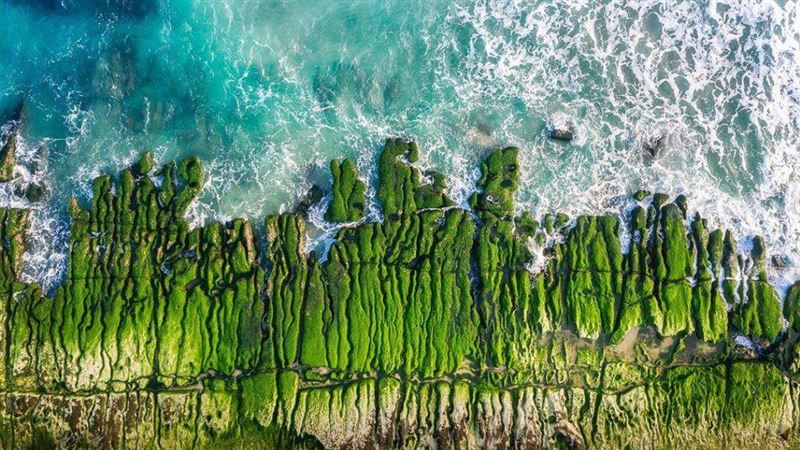 全台四月份活動．景點．玩法總整理