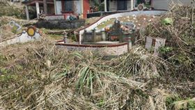 掃墓,雜草,清明節(翻攝自 爆怨2公社)