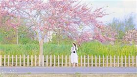 名家專用／台灣旅行趣（勿用）