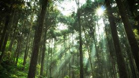 名家專用／台灣旅行趣（勿用）