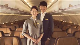 星宇航空客艙組員招募開跑。（圖／星宇航空提供）