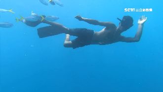 台帛團賠錢「下殺3萬」　盼延續買氣