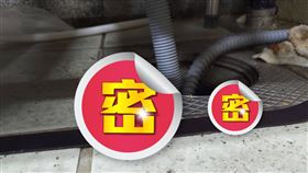 泡泡,發泡劑,地板,漏水(翻攝自 PTT)