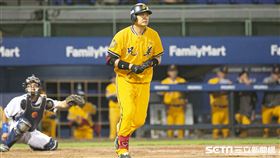 ▲中信兄弟許基宏。（圖／記者楊澍攝影）