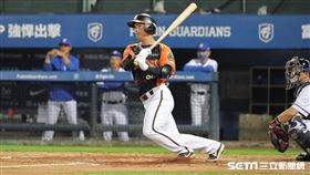 ▲統一獅二壘手林靖凱。（圖／記者劉彥池攝影）