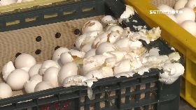 L勾蛋車撞店2400