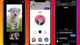 Facebook在Instagram上推出多項新功能，包含一起觀看、自拍貼圖與限時模式（圖／FB提供）