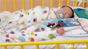 (其他稿件勿用）兒癌專題