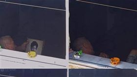 家後,阿公,阿嬤,遺像,難過,心疼