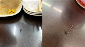 米漿,蟲,豆漿,呵呵(翻攝自 爆料公社)