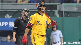 ▲中信兄弟外野手張志豪。（圖／記者劉彥池攝影）