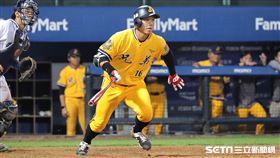 ▲中信兄弟外野手周思齊。（圖／記者劉彥池攝影）