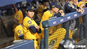 ▲中信兄弟總教練林威助。（圖／記者劉彥池攝影）