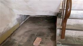 屍水,新竹,蓄水池,陳屍