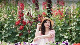 名家專用／台灣旅行趣（勿用）