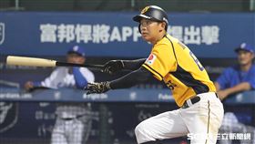 ▲中信兄弟二壘手潘志芳炸裂3分砲，是他生涯第100號安打。（圖／記者劉彥池攝影）