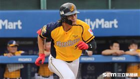 ▲中信兄弟外野手張志豪。（圖／記者劉彥池攝影）