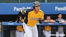 ▲中信兄弟外野手陳子豪。（圖／記者劉彥池攝影）
