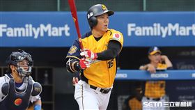 ▲中信兄弟外野手周思齊。（圖／記者劉彥池攝影）