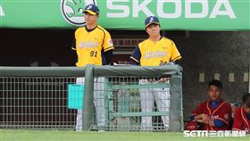 ▲中信兄弟總教練林威助。（圖／記者劉彥池攝影）