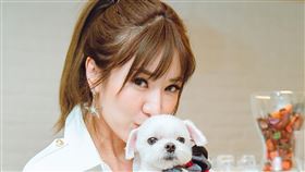 羅巧倫三立新聞網專訪。（圖／記者楊澍攝影）