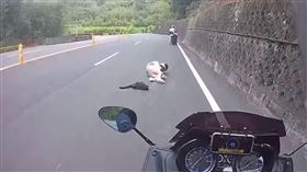 重機騎士騎車在道路上，突然看見一名女子倒臥路中央 《爆料公社》