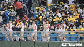 ▲小龍女在中信兄弟球迷前應援。（圖／記者劉彥池攝影）