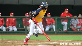 ▲中信兄弟內野手蘇緯達。（圖／記者劉彥池攝影）
