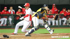 ▲中信兄弟捕手高宇杰無法阻止味全龍外野手陳品捷滑回本壘得分。（圖／記者劉彥池攝影）