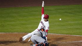 ▲大谷翔平滑回本壘。（圖／美聯社／達志影像）