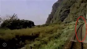 ▲太魯閣號出仁和隧道，還看不到工程車。軌道非完全直線，自行車紀錄器畫面可看到列車微幅右彎。列車看到樹叢後方的工程車。約7秒時間列車撞上工程車。（圖／翻攝畫面）