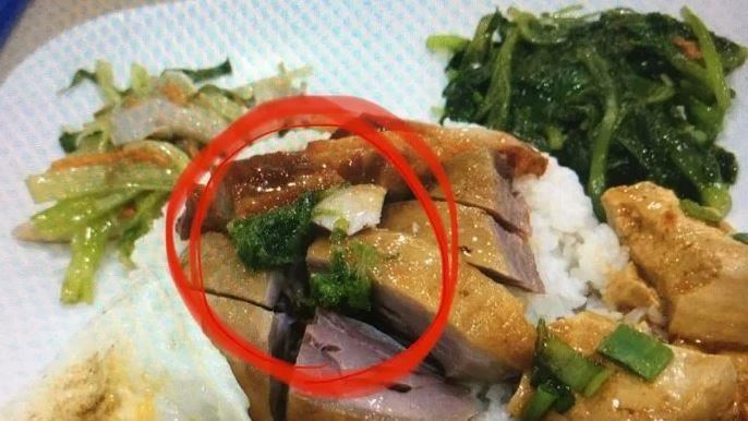便當肉上「綠綠的」嚇壞　網一看嗨翻