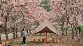 台灣旅行趣提供