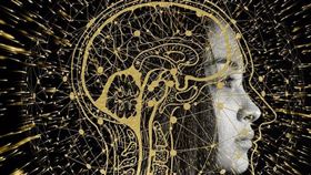 研究發現，人的面部外型與大腦形狀存在關聯性。（圖／翻攝自pixabay）