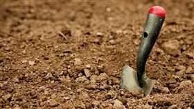 托尼在後院挖到一個巨大箱子，興奮的想將它打開。（圖／翻攝自pixabay）