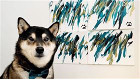 黑柴
（圖／翻攝自IG帳號shiba.art.online）