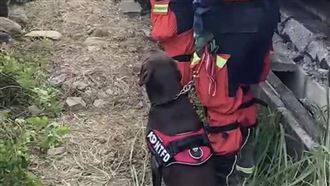 新北搜救犬來回踱步　提醒罹難者回家
