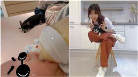 HowHow,鄧福如,兒子,鼠鼻,生病,狗（圖／鄧福如IG