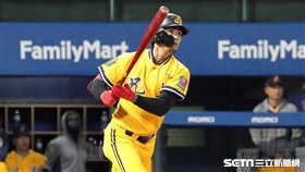 ▲中信兄弟外野手張志豪。（圖／記者劉彥池攝影）