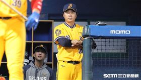 ▲中信兄弟總教練林威助。（圖／記者劉彥池攝影）