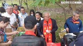 ▲苗栗客家大院飄五月雪　劉泰英叫賣鳳梨冰　百顆鳳梨秒殺（圖／苗栗客家大院提供）