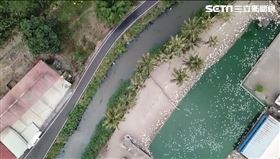 高雄,屏東,東港溪,養豬,廢水,缺水