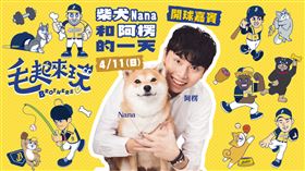 中信兄弟毛起來玩主題日。（圖／中信兄弟提供）