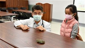 2童發燒腹痛「解綠便」驗出沙門氏菌　矛頭指向「寵物龜」(台中醫院提供)
