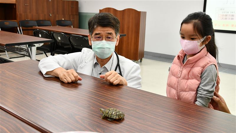 2童發燒「解綠便」　醫：是寵物龜！