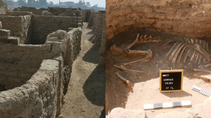 最偉大埃及法老打造　失落黃金城出土